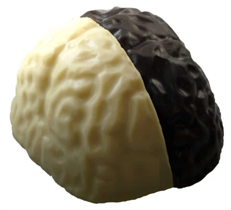 ChocolateBrain